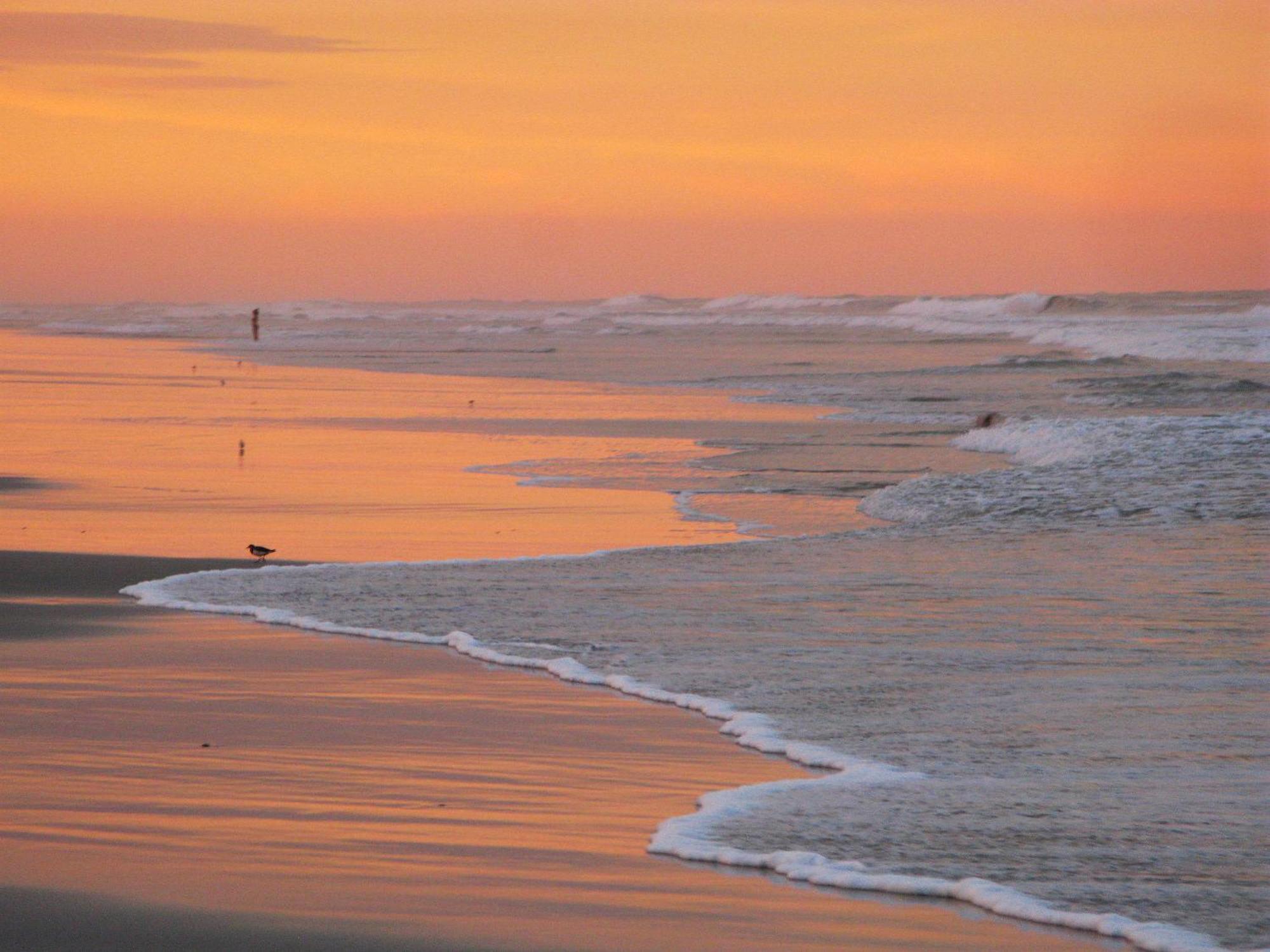 Guy Harvey Resort On Saint Augustine Beach 외부 사진